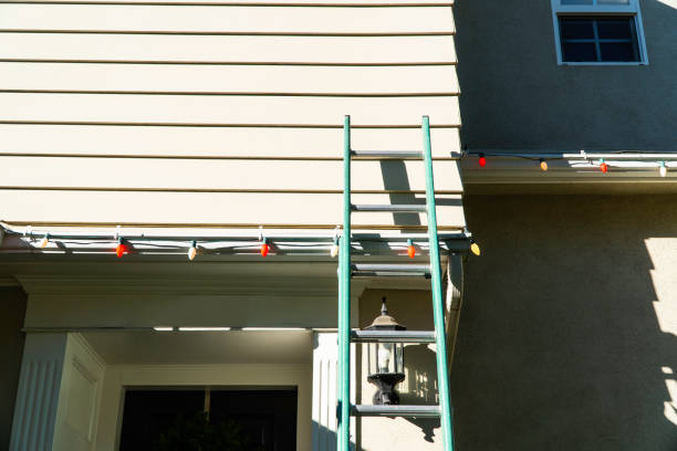 Shed Removal in Petaluma, CA